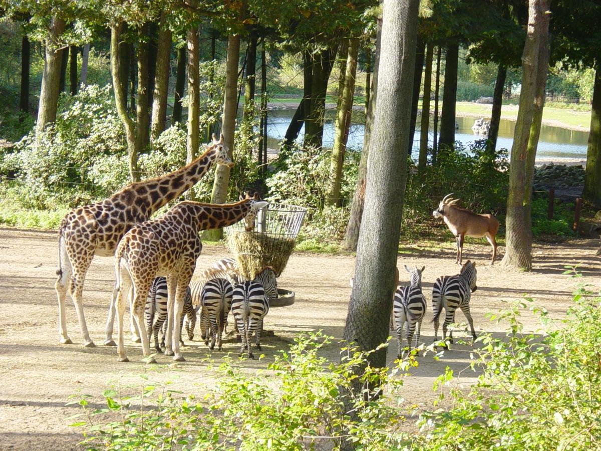 Hotel Europarcs De Hooge Veluwe Arnhem Exteriér fotografie